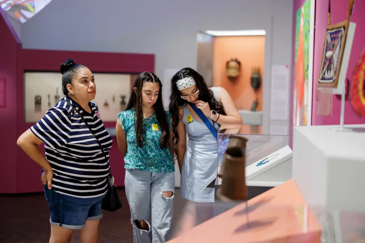Denver Art Museum Free Day (November) at Denver Art Museum