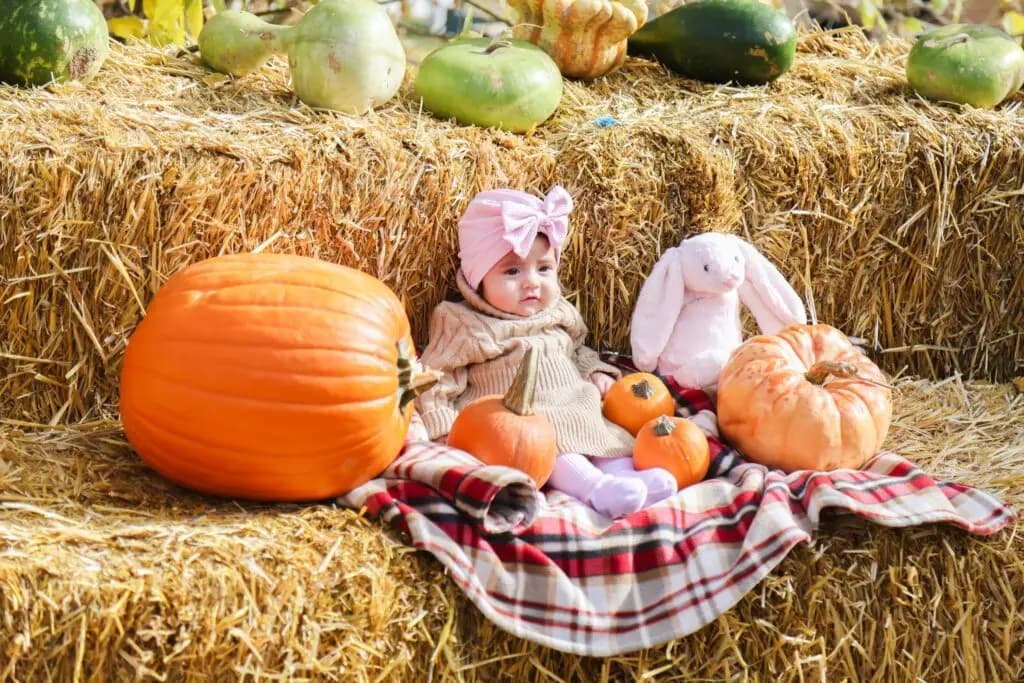 Four Mile Historic Park Pumpkin Harvest Festival at Four Mile Historic Park