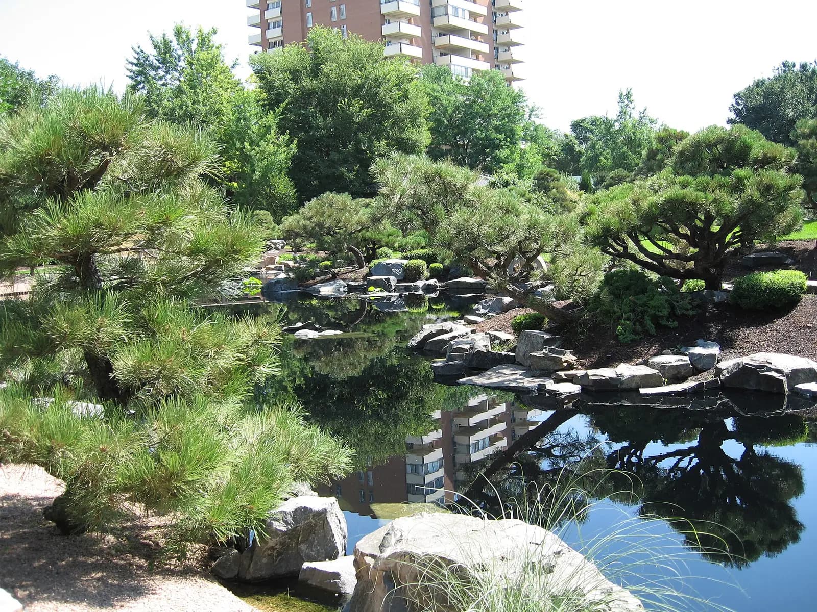 Jaume Plensa: A New Humanism at Denver Botanic Gardens