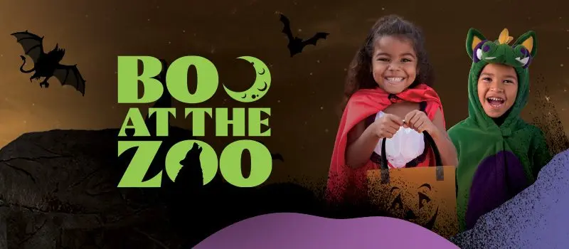 Boo at the Zoo at Denver Zoo at Denver Zoo