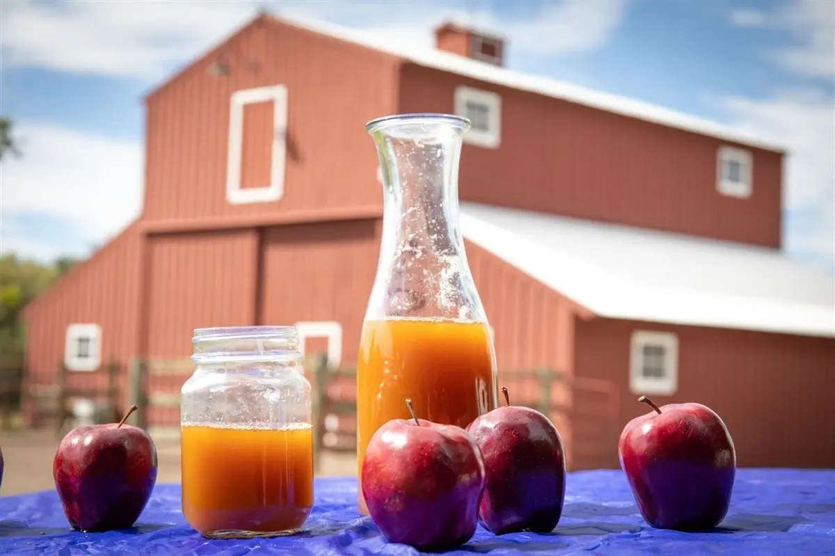 Cider Days at Heritage Lakewood at Heritage Lakewood Belmar Park