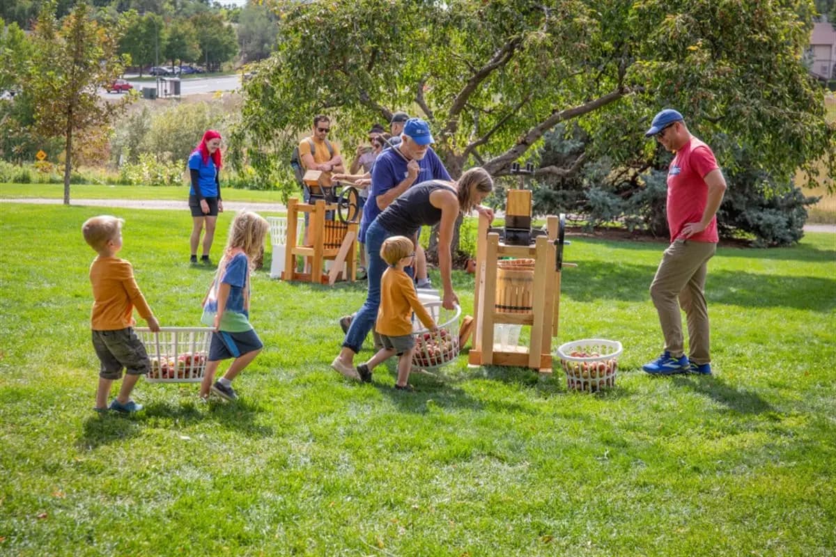 Cider Pressing